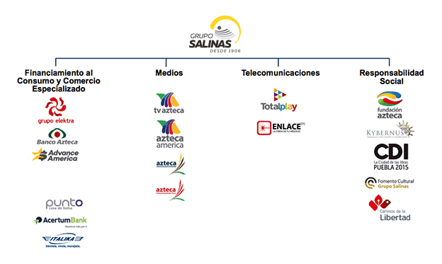 grupo salinas